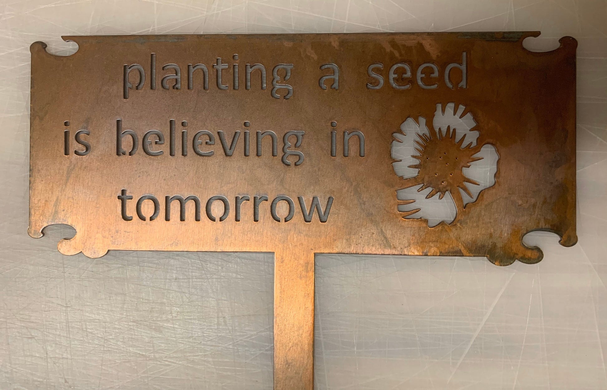 Planting a Seed is Believing in Tomorrow SIGN on stake