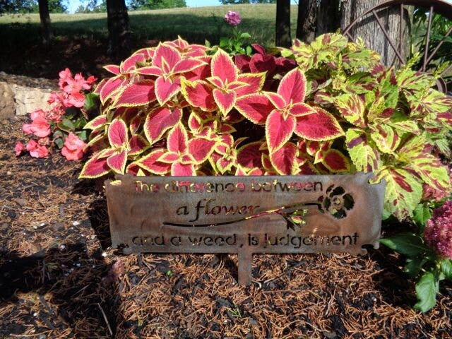 The Difference Between Flowers and Weeds is Judgement metal garden sign