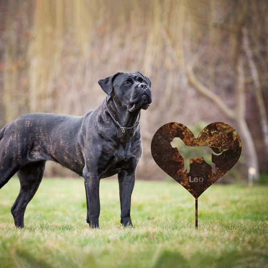 Cane Corso Garden Sign Rusty, Cane Corso Garden Stake, Rusted Metal Yard Art, Vintage Outdoor Decor, Dog Metal Garden Stake, Garden Marker