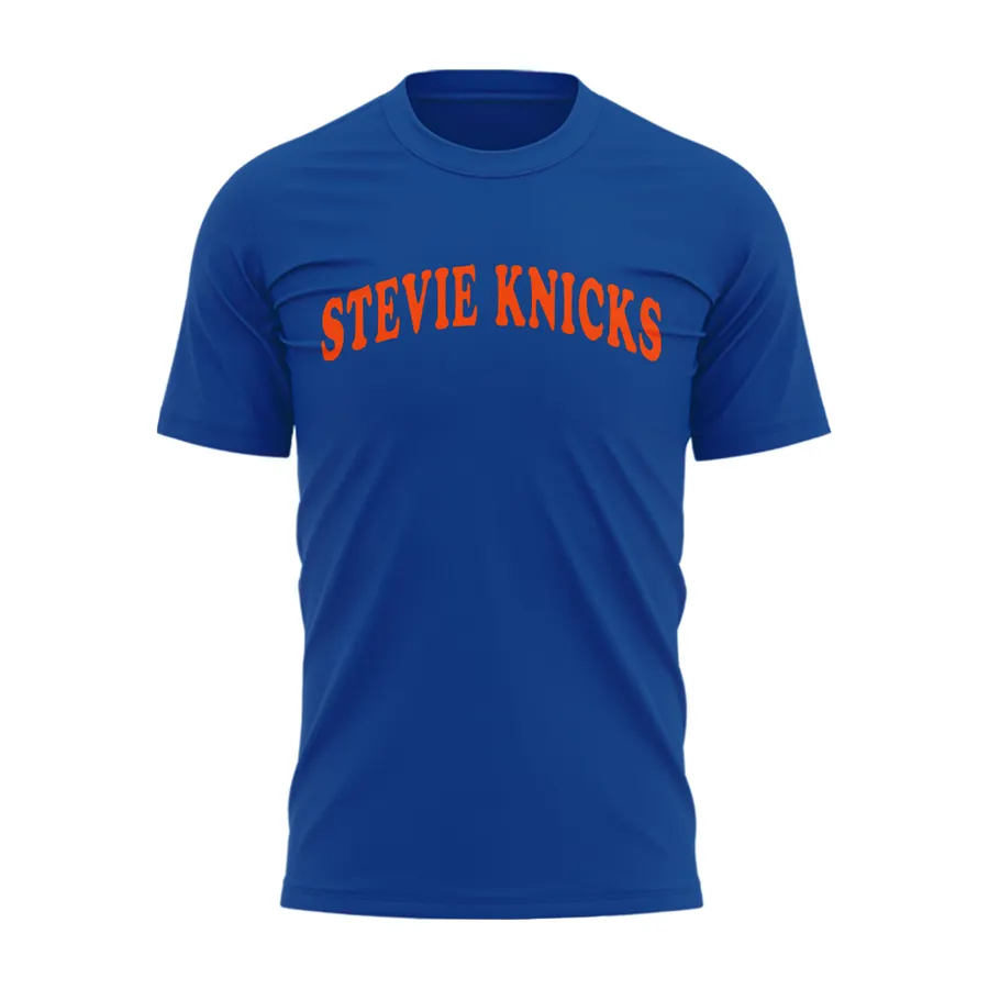 04.Taylor Swift Stevie Knicks T-shirt